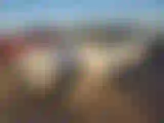 Vehicle Image- 1999 Ford Explorer