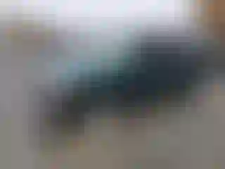 Vehicle Image- 1999 Ford Explorer