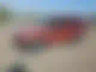 Vehicle Image- 1999 Ford Explorer