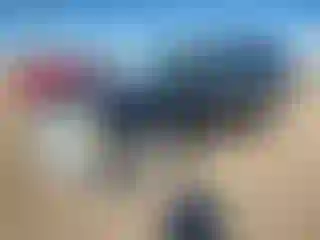 Vehicle Image- 2002 Ford Explorer