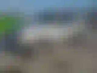 Vehicle Image- 2003 Ford Explorer
