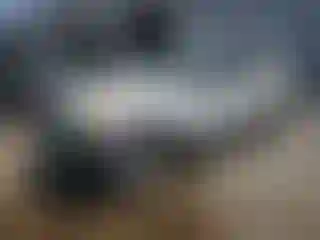 Vehicle Image- 2005 Ford Explorer