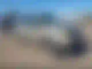 Vehicle Image- 2002 Ford Explorer