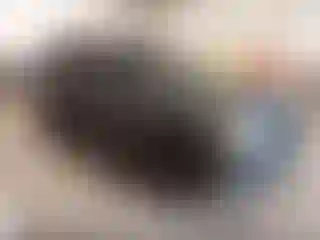 Vehicle Image- 2005 Ford Explorer