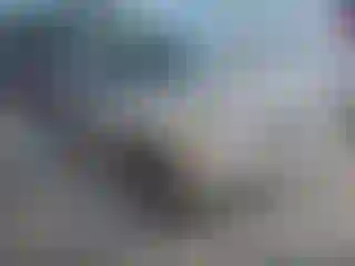 Vehicle Image- 2004 Ford Explorer