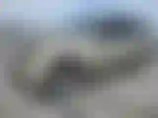 Vehicle Image- 2004 Ford Explorer