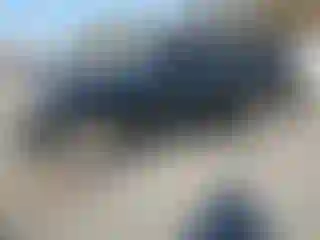 Vehicle Image- 2004 Ford Explorer
