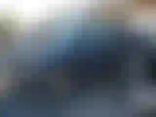 Vehicle Image- 2004 Ford Explorer