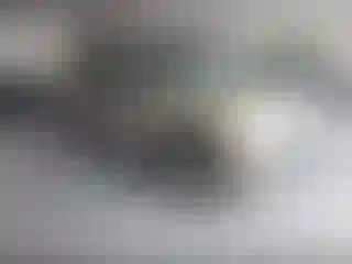 Vehicle Image- 2005 Ford Explorer