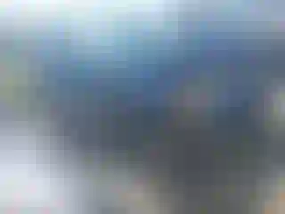Vehicle Image- 2005 Ford Explorer