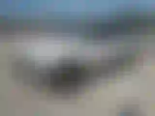 Vehicle Image- 2000 Ford Explorer