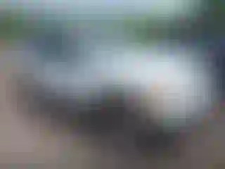 Vehicle Image- 2004 Ford Explorer