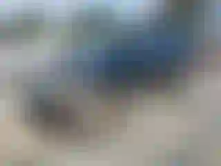 Vehicle Image- 2004 Ford Explorer