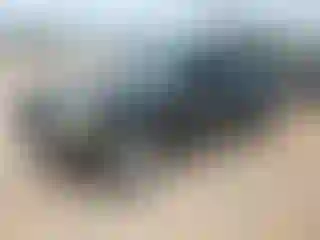 Vehicle Image- 2003 Ford Explorer