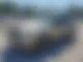 Vehicle Image- 2003 Ford Explorer