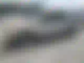 Vehicle Image- 2001 Ford Explorer