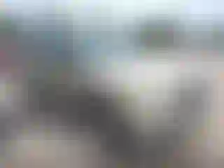 Vehicle Image- 2002 Ford Explorer