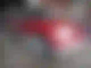 Vehicle Image- 2002 Ford Explorer