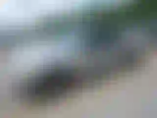Vehicle Image- 2002 Ford Explorer