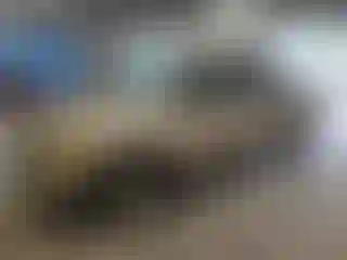 Vehicle Image- 2003 Ford Explorer