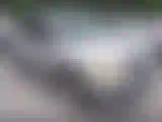 Vehicle Image- 2002 Ford Explorer