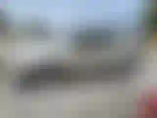 Vehicle Image- 2005 Ford Explorer