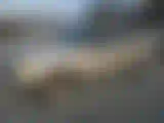 Vehicle Image- 2005 Ford Explorer
