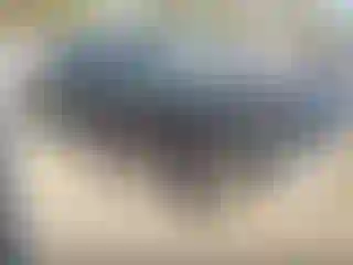 Vehicle Image- 2005 Ford Explorer