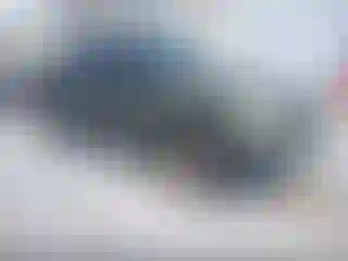 Vehicle Image- 2004 Ford Explorer