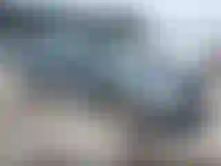 Vehicle Image- 2004 Ford Explorer