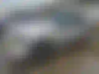 Vehicle Image- 2004 Ford Explorer