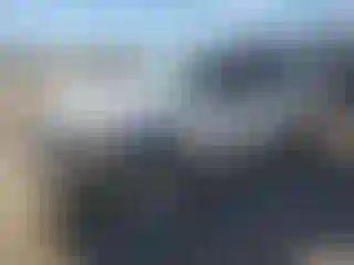Vehicle Image- 2002 Ford Explorer