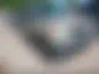Vehicle Image- 2004 Ford Explorer
