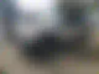 Vehicle Image- 2004 Ford Explorer