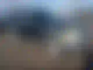 Vehicle Image- 2002 Ford Explorer
