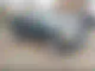 Vehicle Image- 2004 Ford Explorer