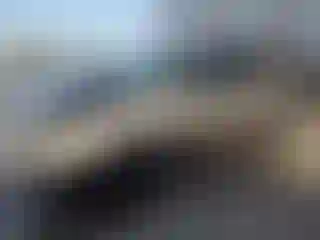 Vehicle Image- 2004 Ford Explorer