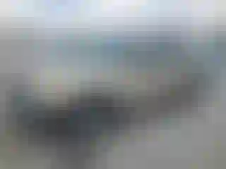 Vehicle Image- 2004 Ford Explorer