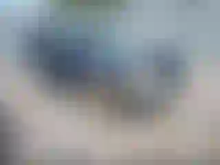 Vehicle Image- 2000 Ford Explorer