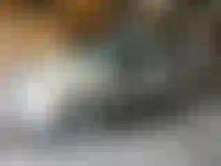 Vehicle Image- 2002 Ford Explorer