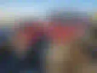 Vehicle Image- 2000 Ford Explorer