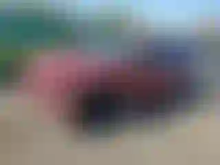 Vehicle Image- 2002 Ford Explorer