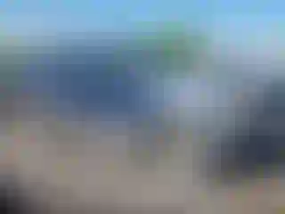 Vehicle Image- 2002 Ford Explorer