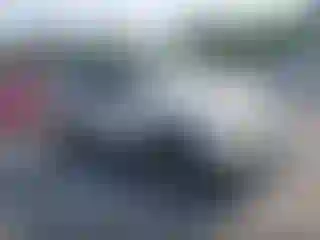 Vehicle Image- 2002 Ford Explorer