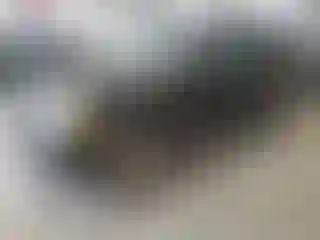 Vehicle Image- 2002 Ford Explorer