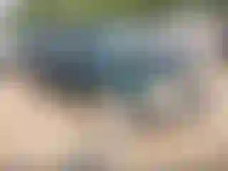 Vehicle Image- 2000 Ford Explorer