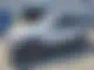 Vehicle Image- 2000 Ford Explorer