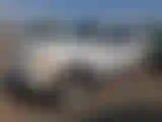 Vehicle Image- 2004 Ford Explorer