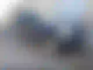 Vehicle Image- 2005 Ford Explorer