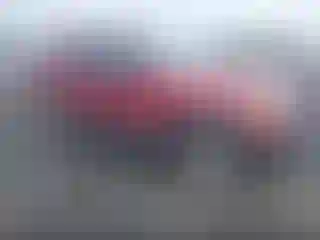 Vehicle Image- 2004 Ford Explorer